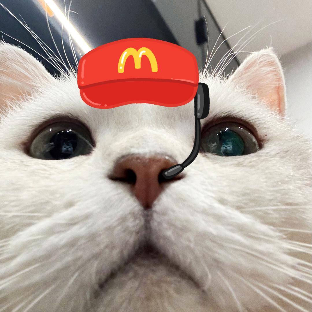 辛巴是个小怂包