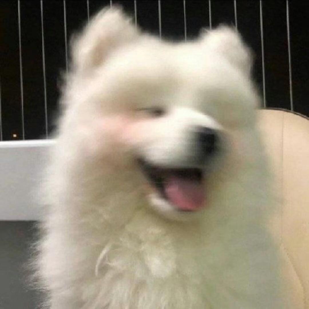 大肠腿腿