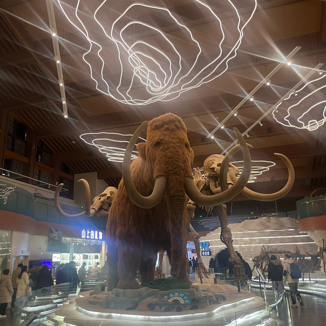 天空中最亮的星