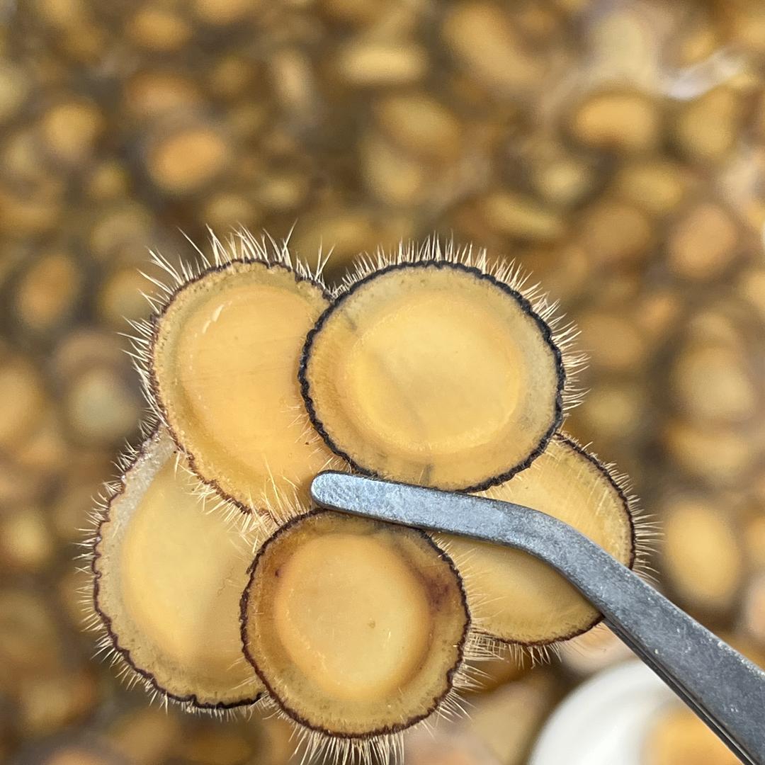 鑫阳鹿业滋补店