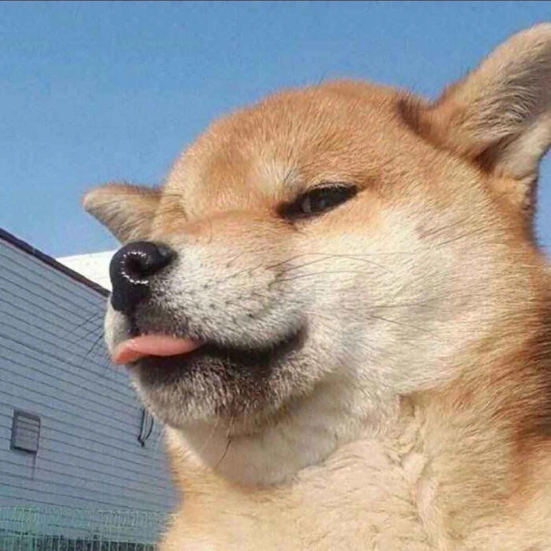 阿东与狗