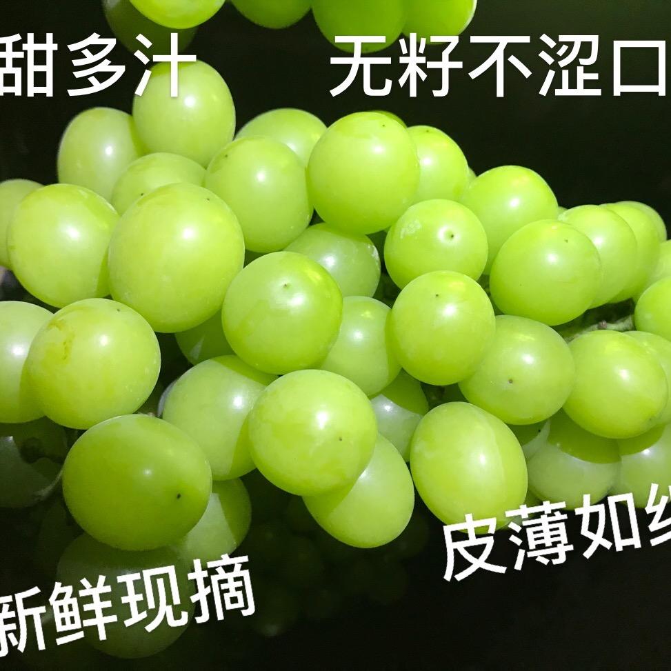 北泗洋洋(阳光玫瑰葡萄