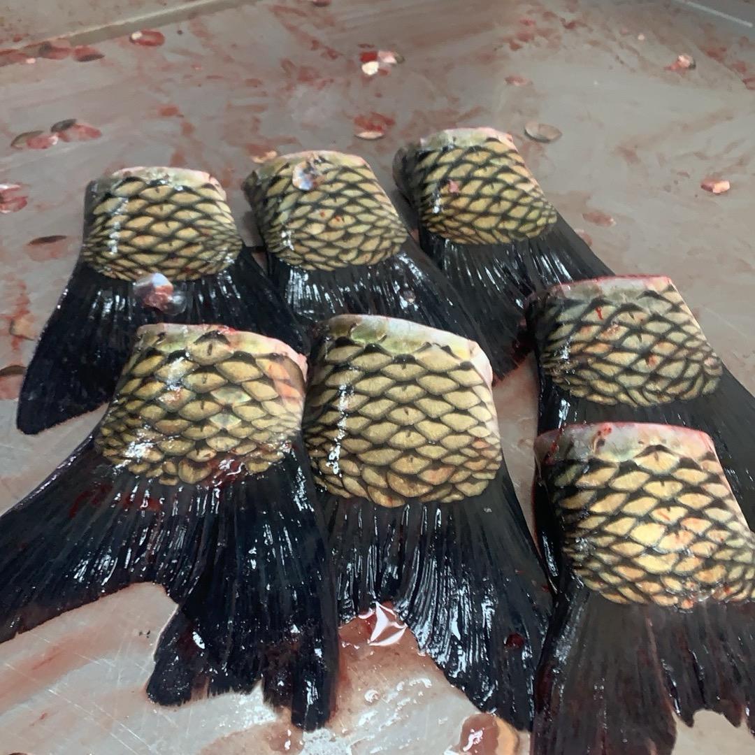 粤港澳农产品批发市场水产配送中心3号摊位