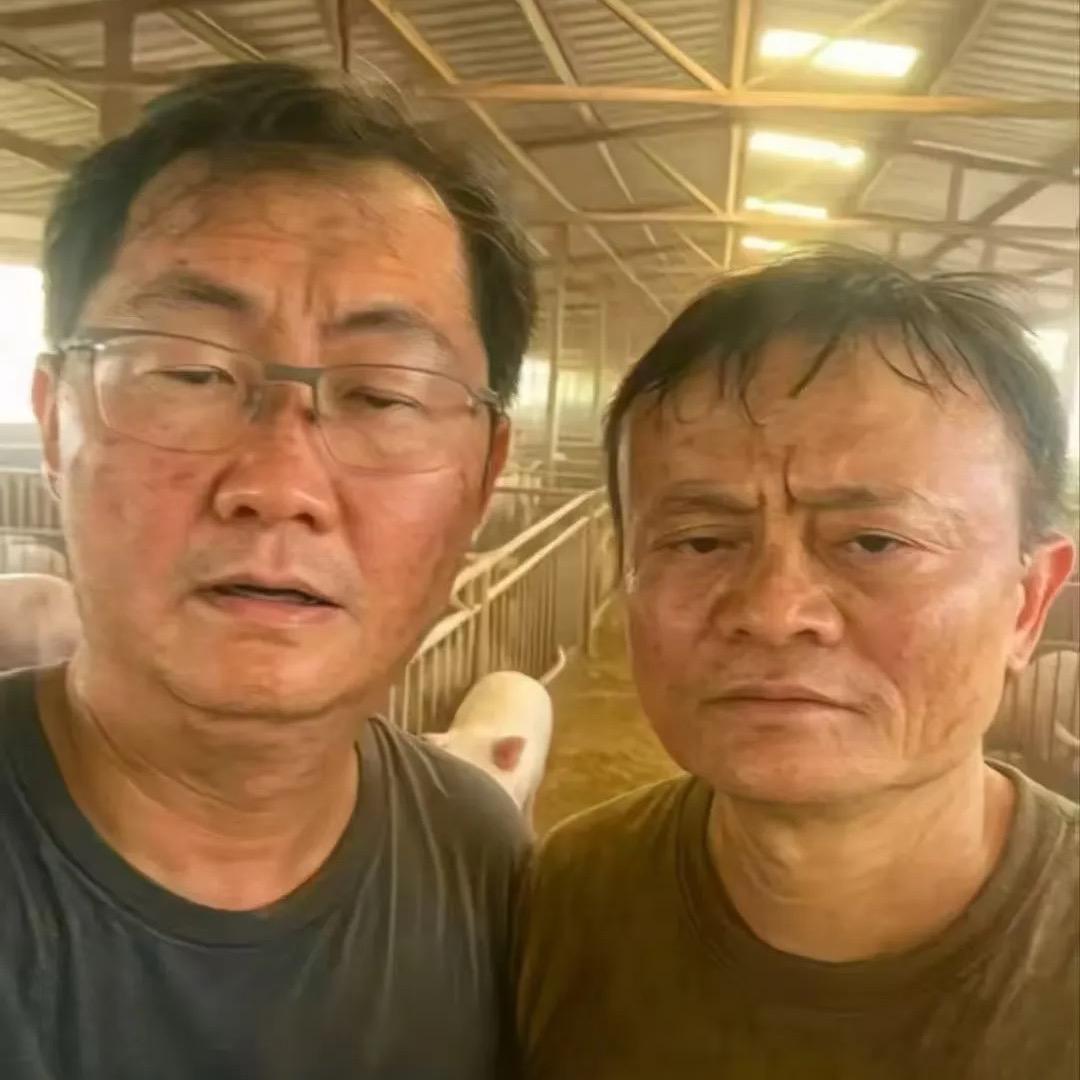 木木肉嘟嘟集团