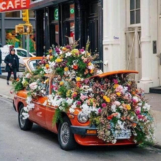 可可撩车