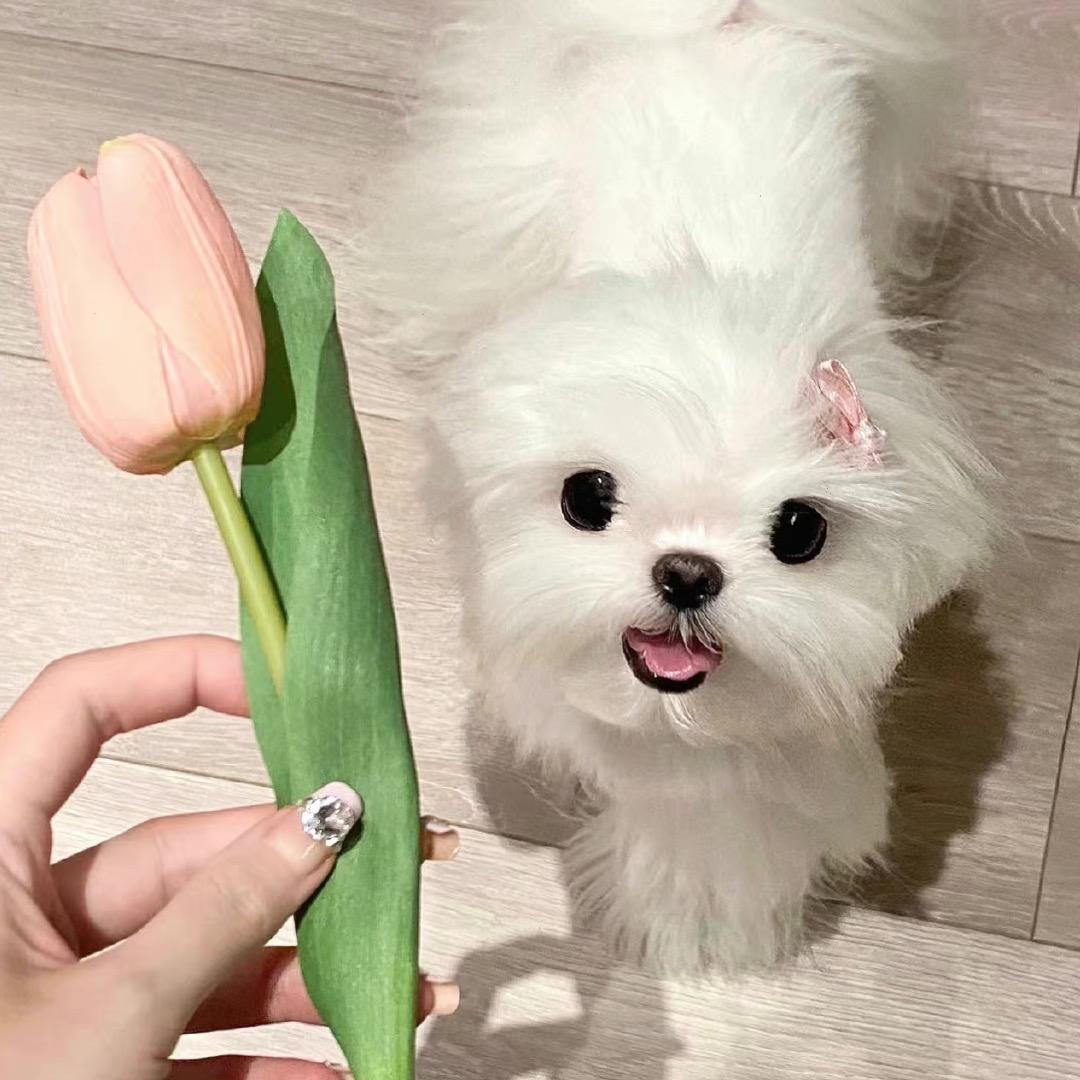 绝爱艺术家