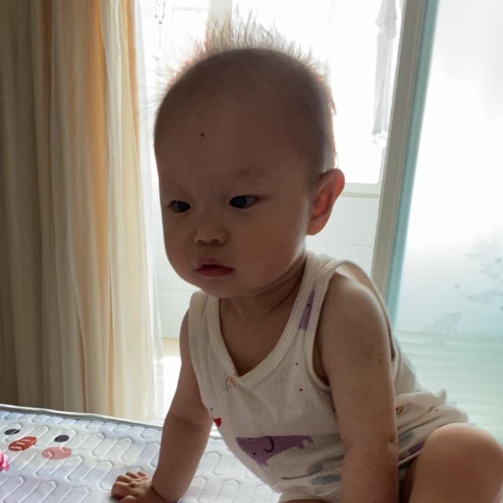 东北赶路的玉米🌽
