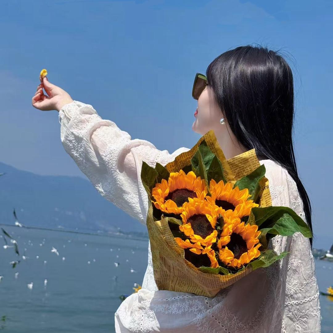 张太阳🌞
