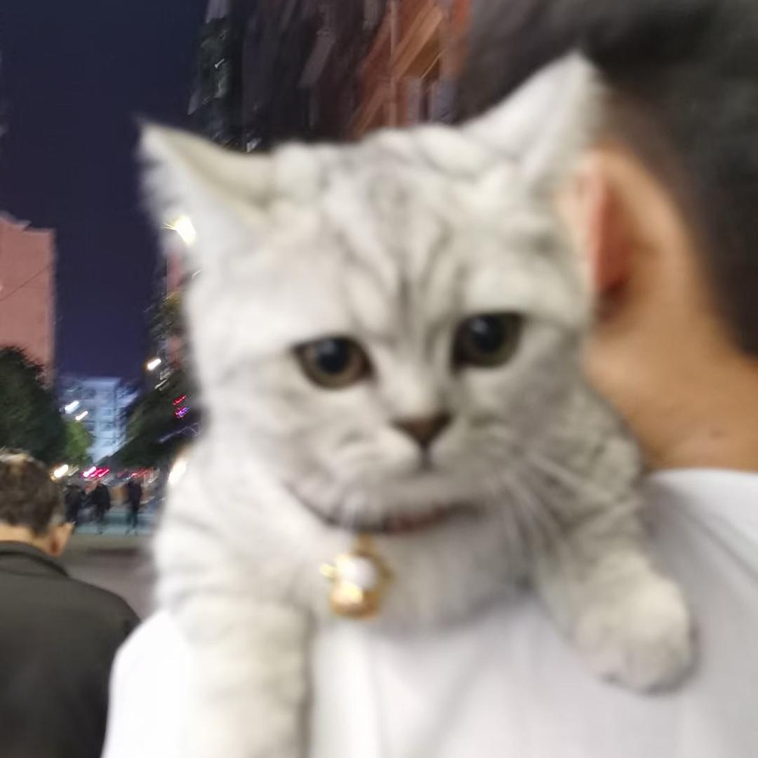 老董—信息咨询-赋能-增量