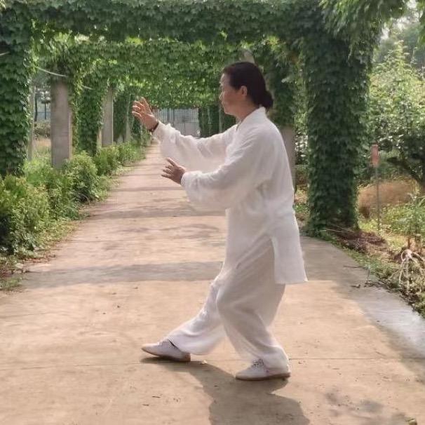 乙炁太极（古拳法）