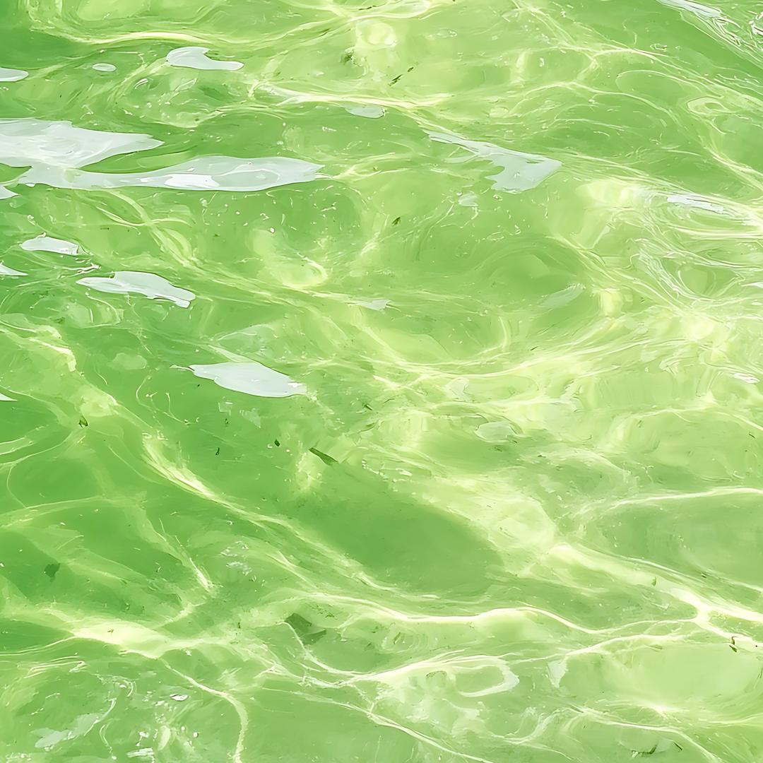 🍏