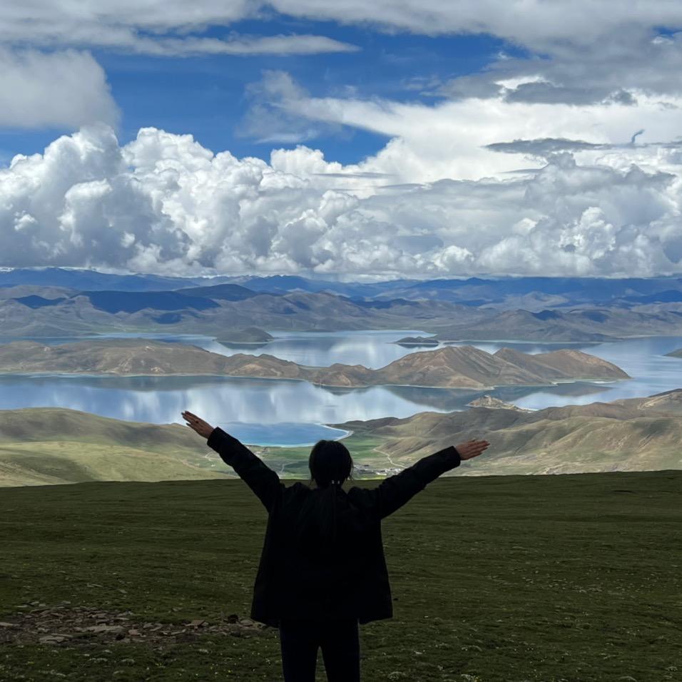 聊城领克官方二手车-君姨