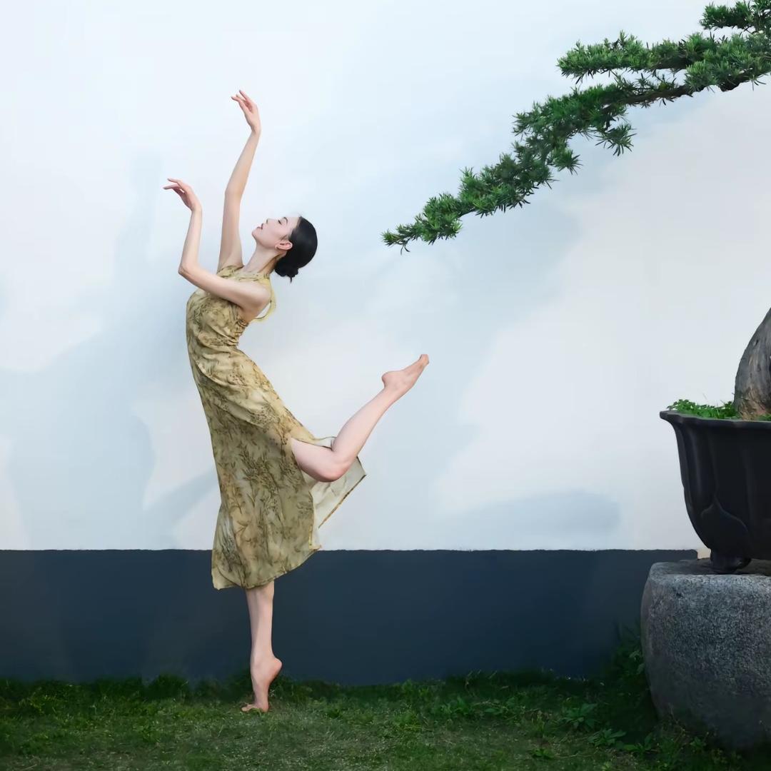 小别兔别又别🐰