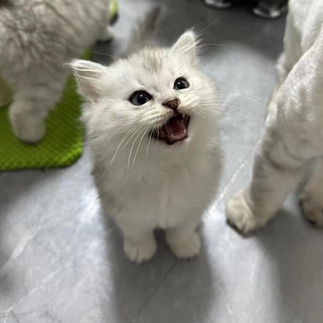 天黑黑