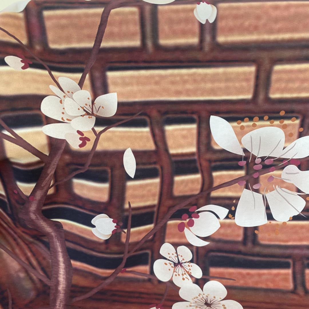 雅轩核缘橄榄核