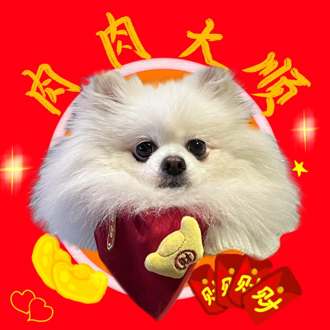 是个刀刀