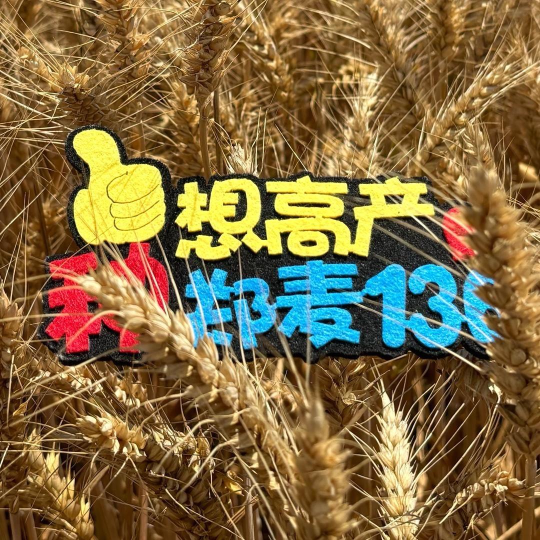帝益麦种业-子涵