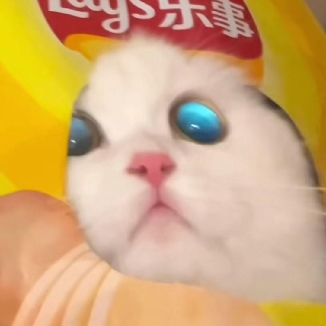 美芽酱
