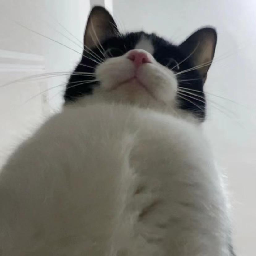 一只鱼