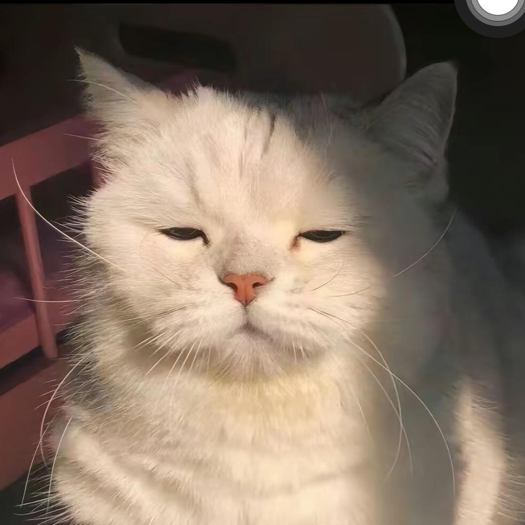 清纯羊咩咩