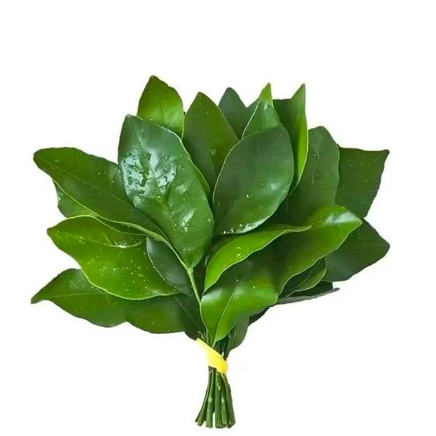 烤红薯🍠（招聘助教）