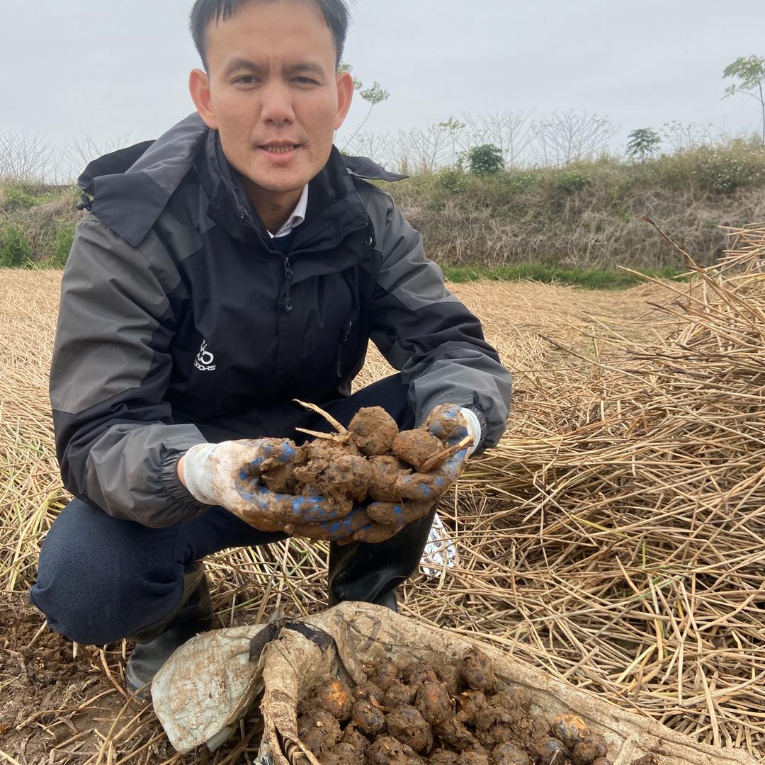 星漫农家特产
