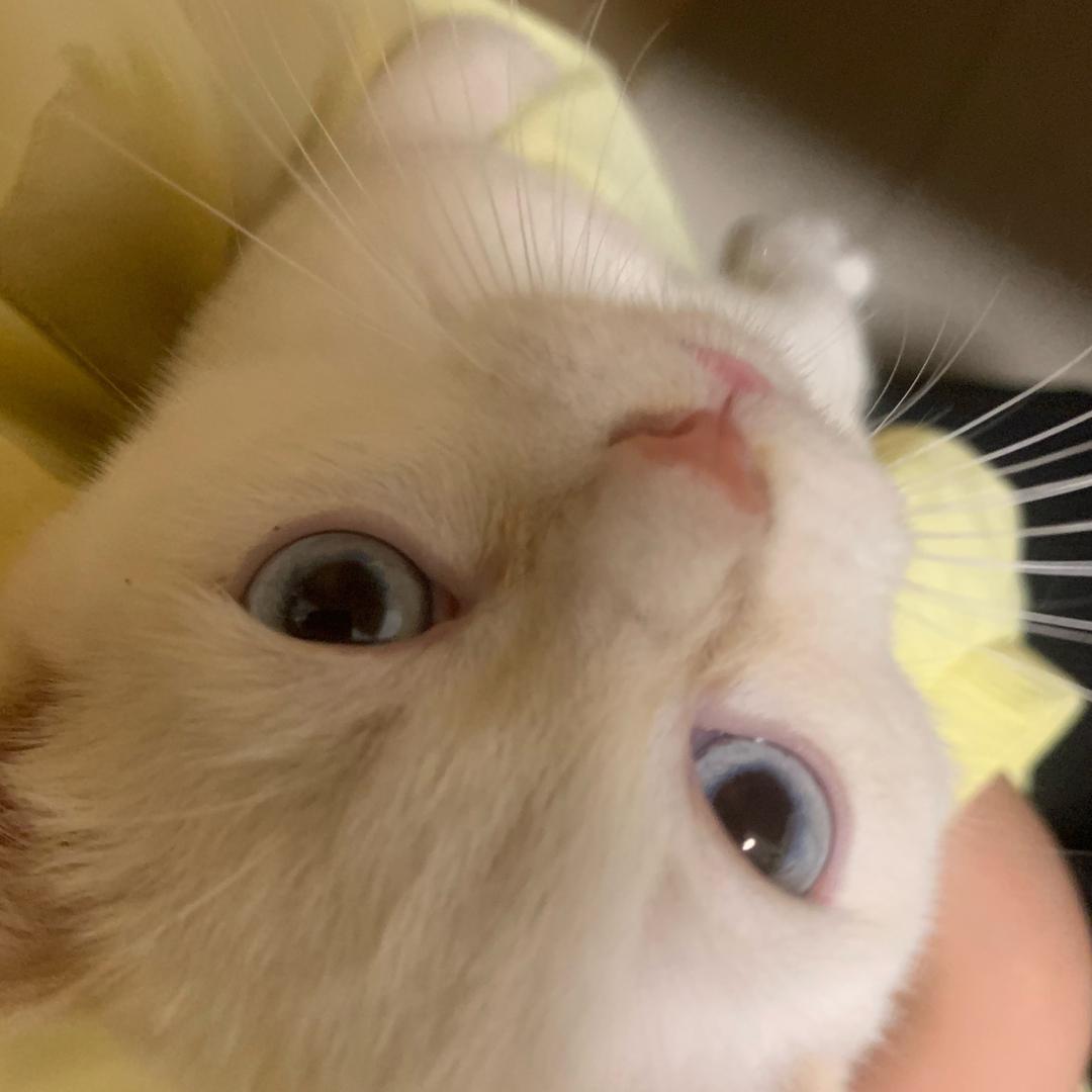 ^0^