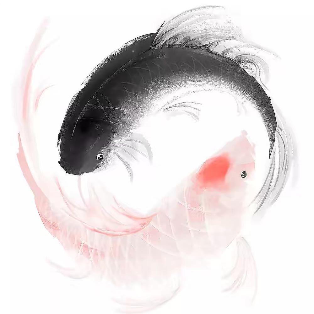 沐泽（带你游）