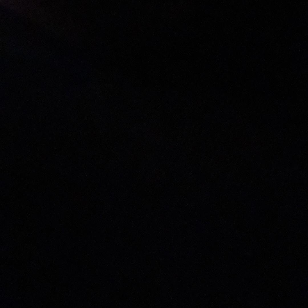 王八🐢喜欢食母蟑螂🪳