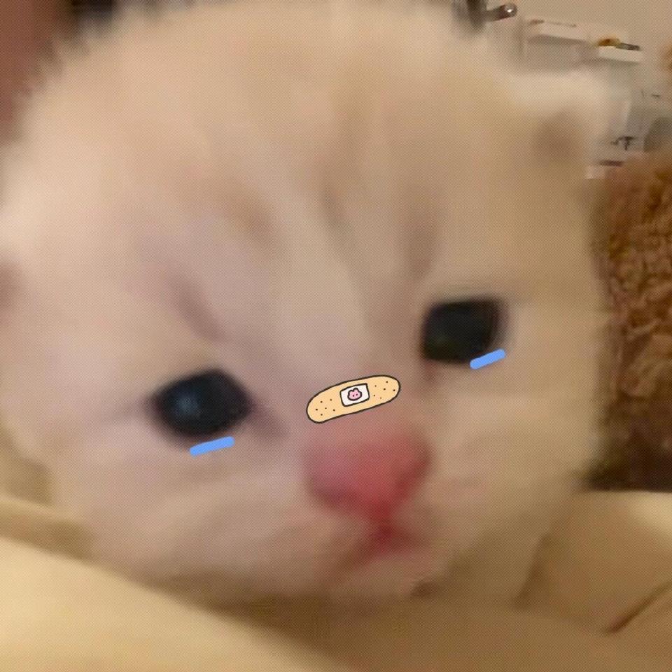 极品小学生