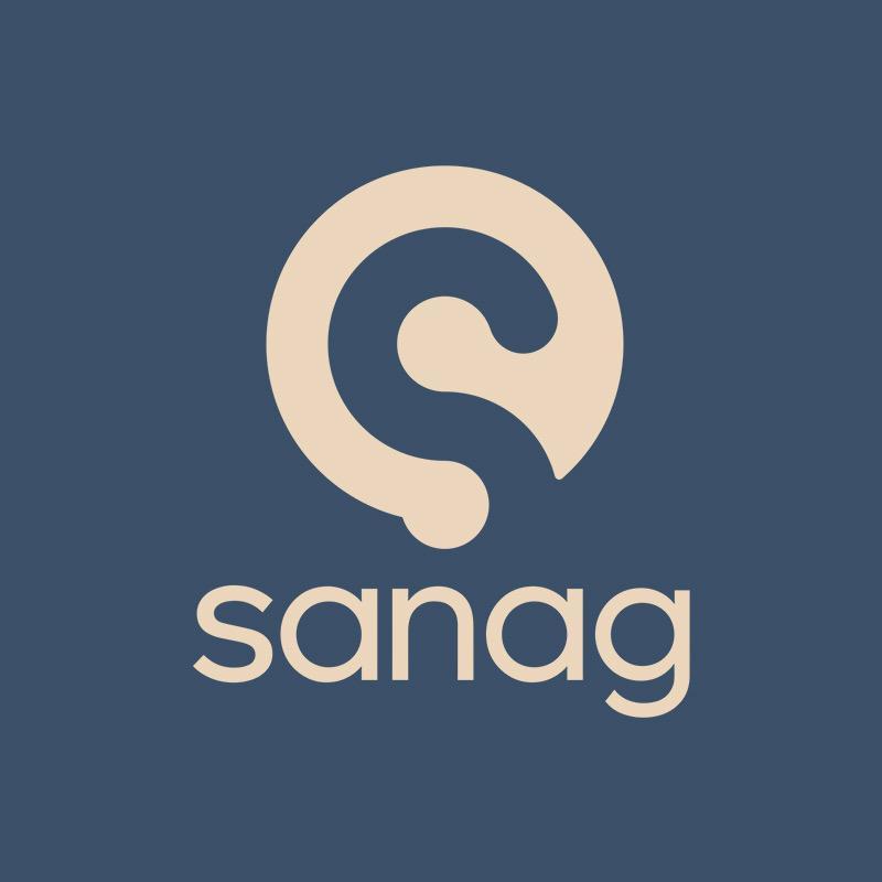 Sanag深圳市飞儿布斯贸易有限公司影音专卖店