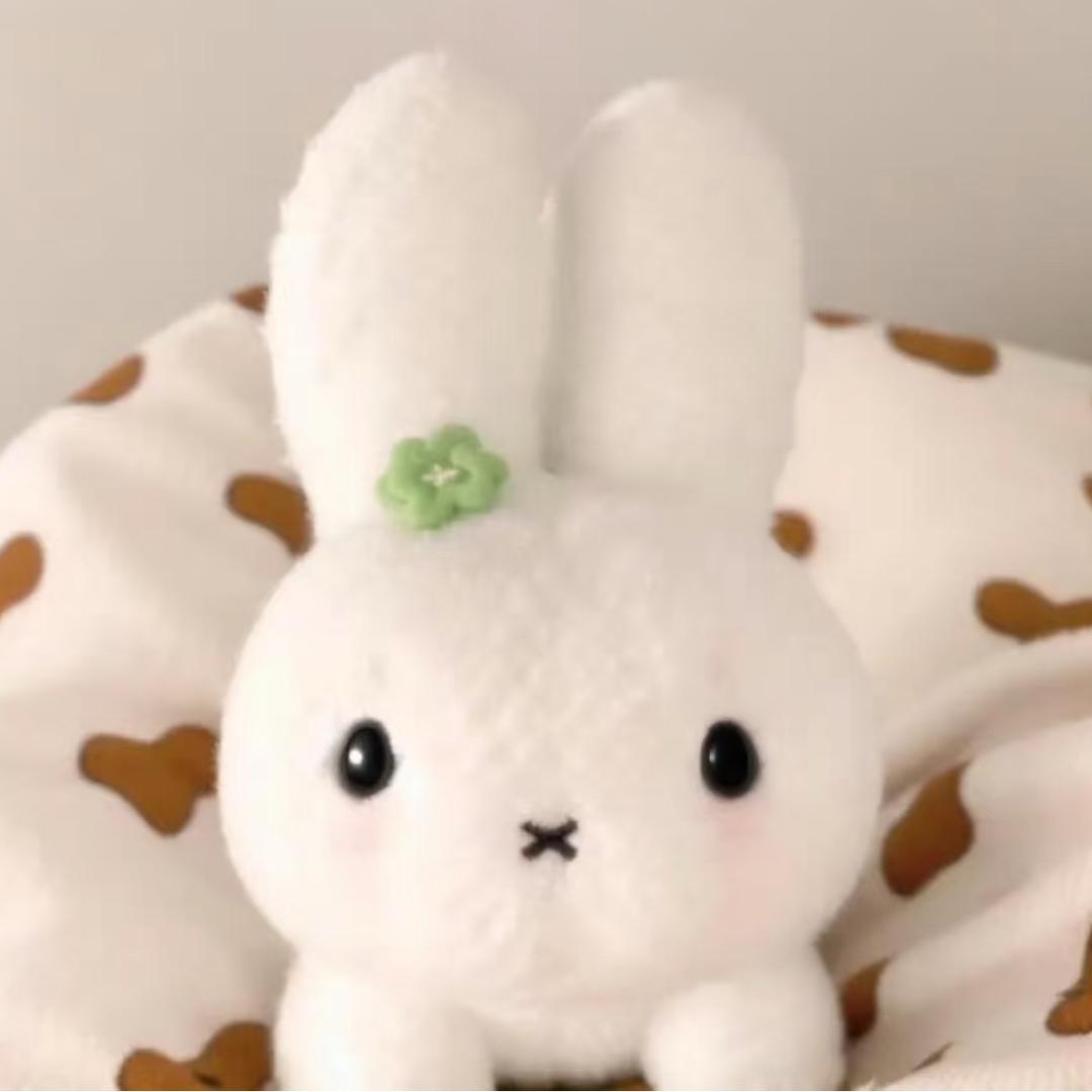 西柚桥🐾