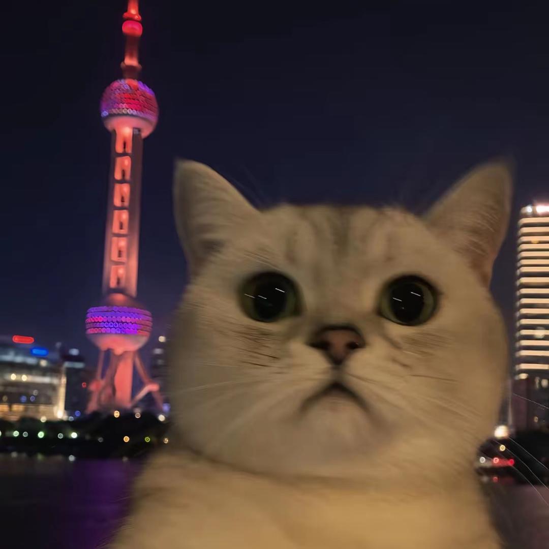 加里宁格勒
