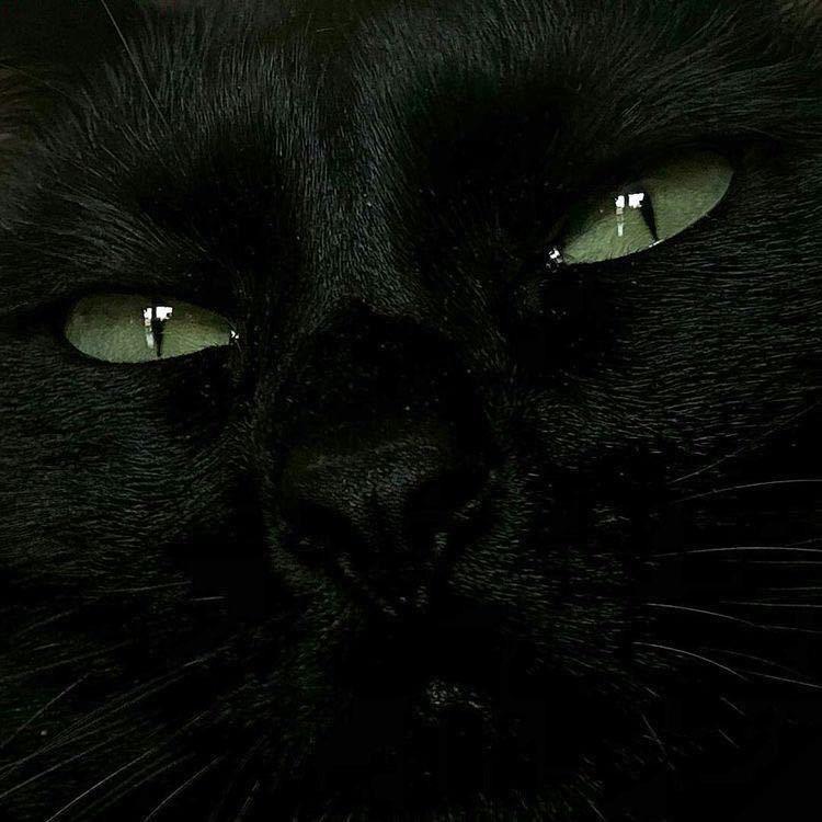 51.