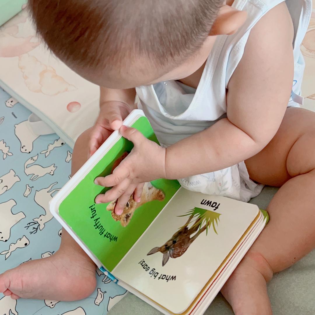 小水的幸福生活