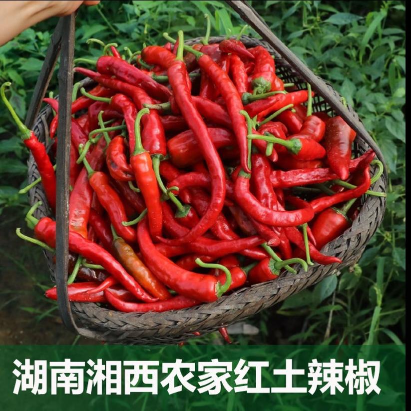 土家小汤辣椒园