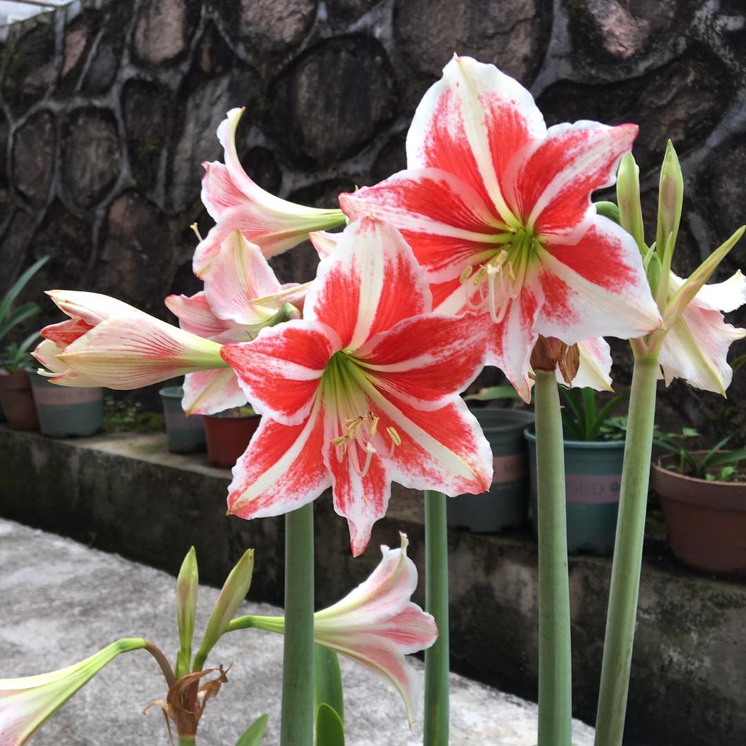 ঐ唯美雨潇🥀℘e