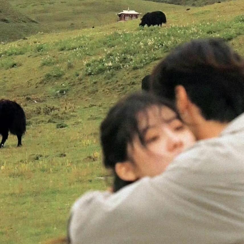 苹果老师
