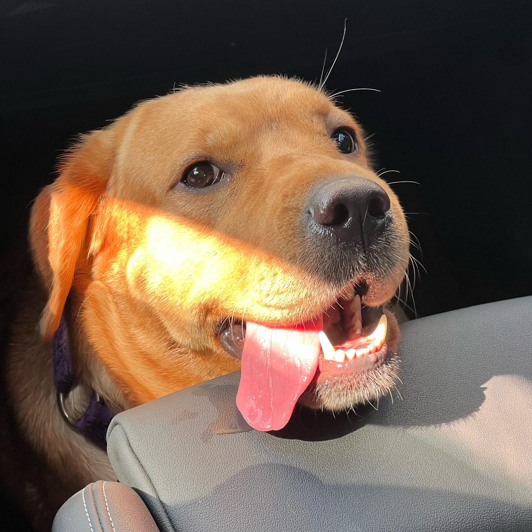 啵啵不是老抽@抖音