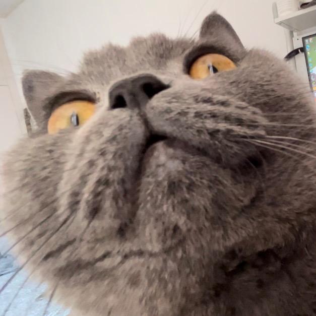 教练大猛男