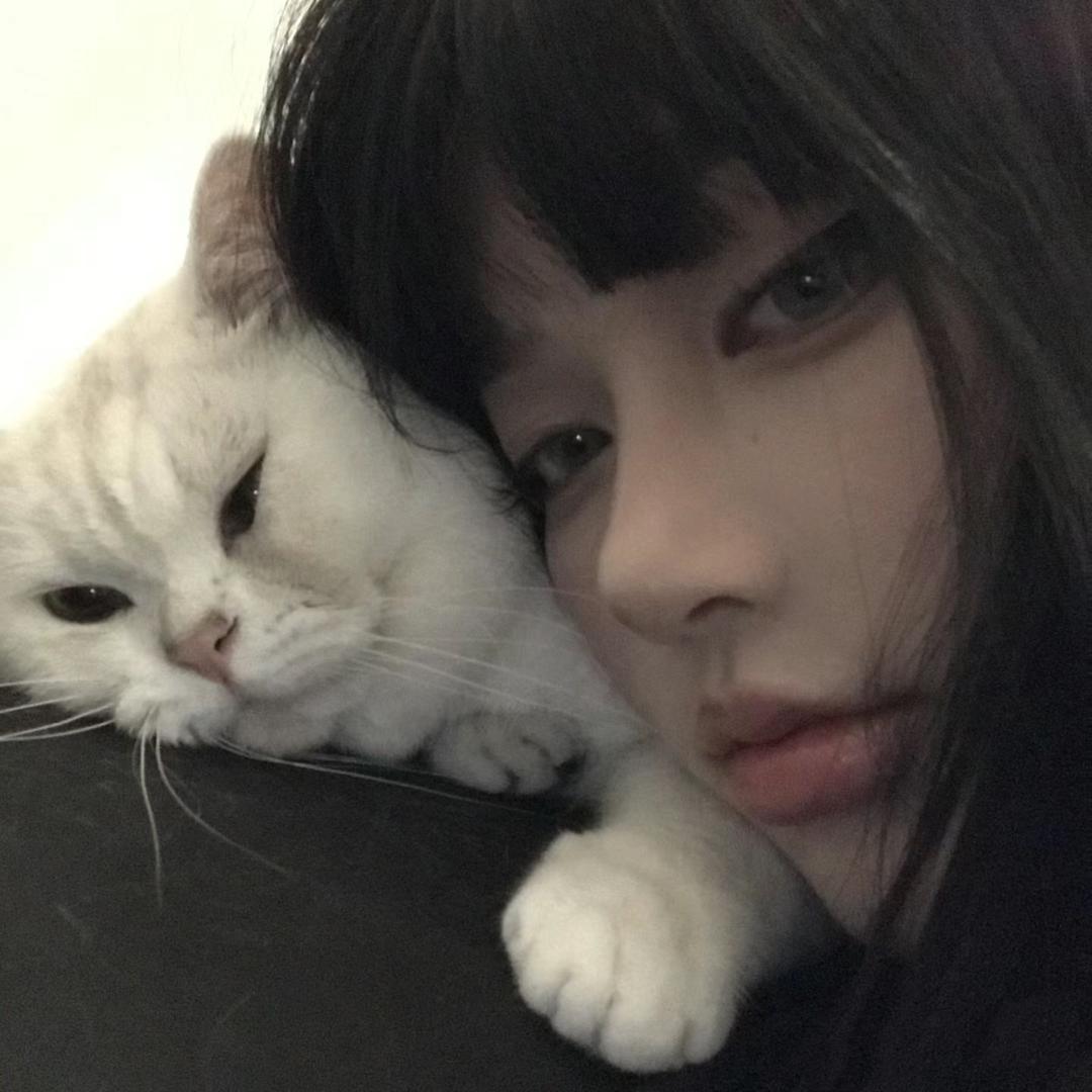 下次見 .