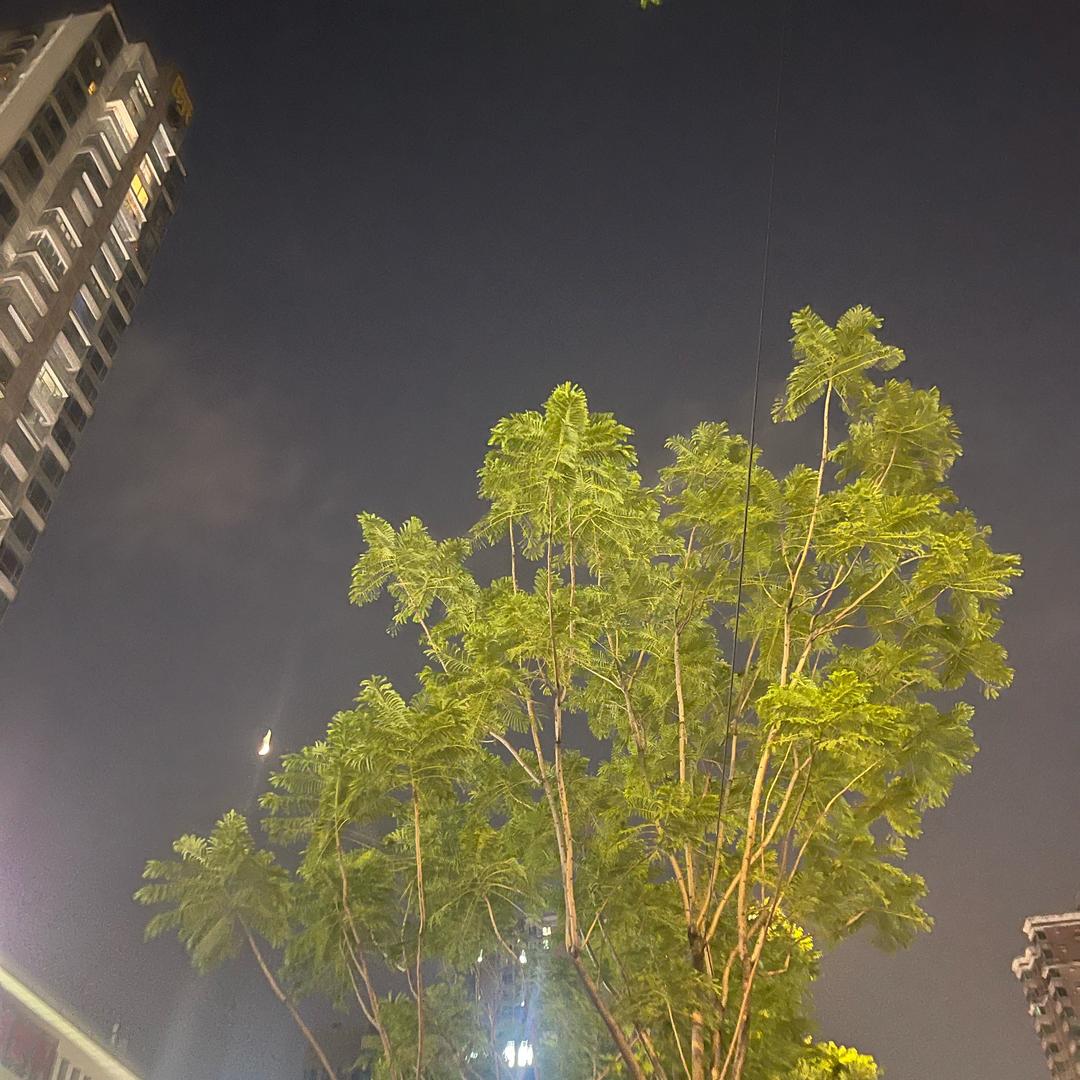 夏威夷女装工作室