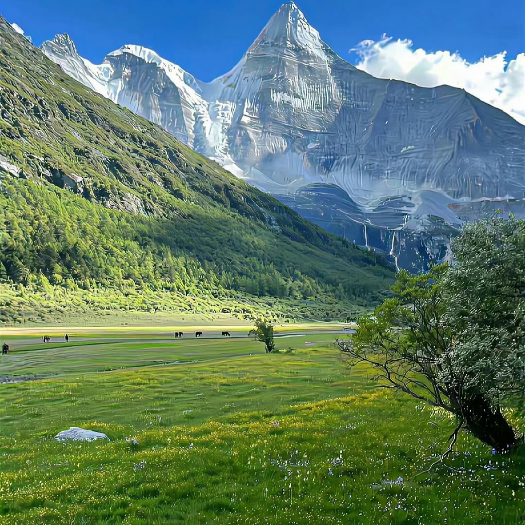 千隆说车-购车记