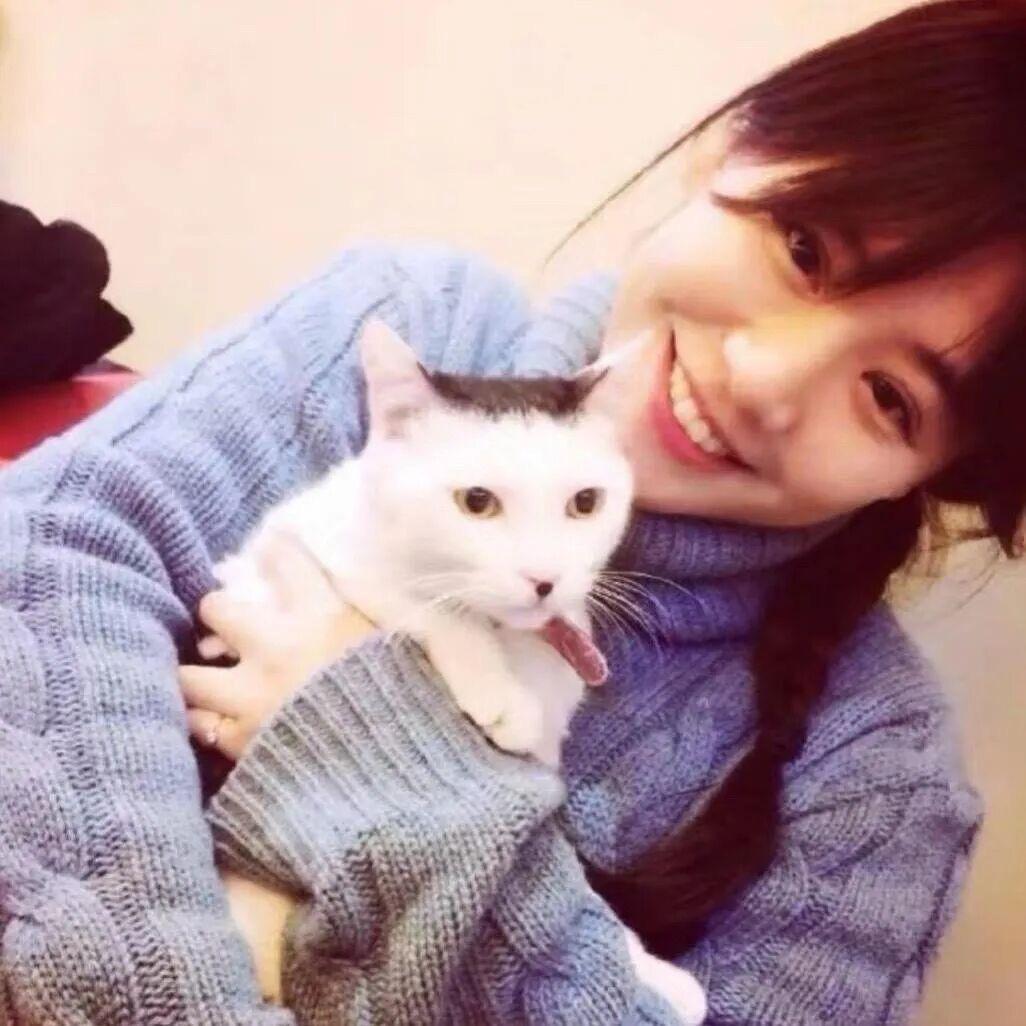 檬檬大王