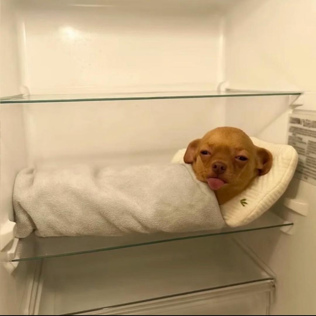 我是皇帝