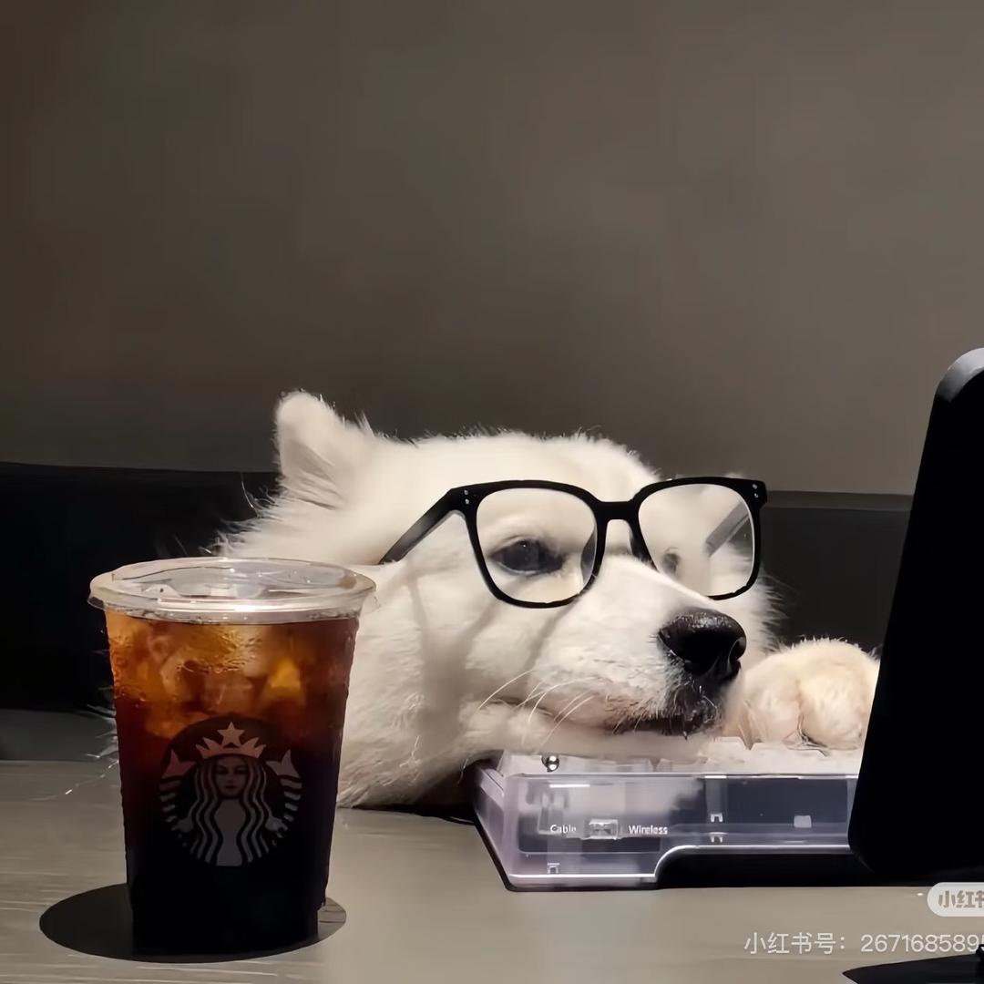 啊西～我拨片没了🎸🦔