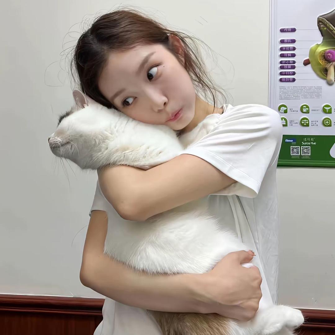 你是问路的吗
