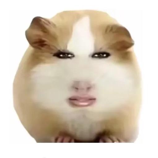 东湖媚