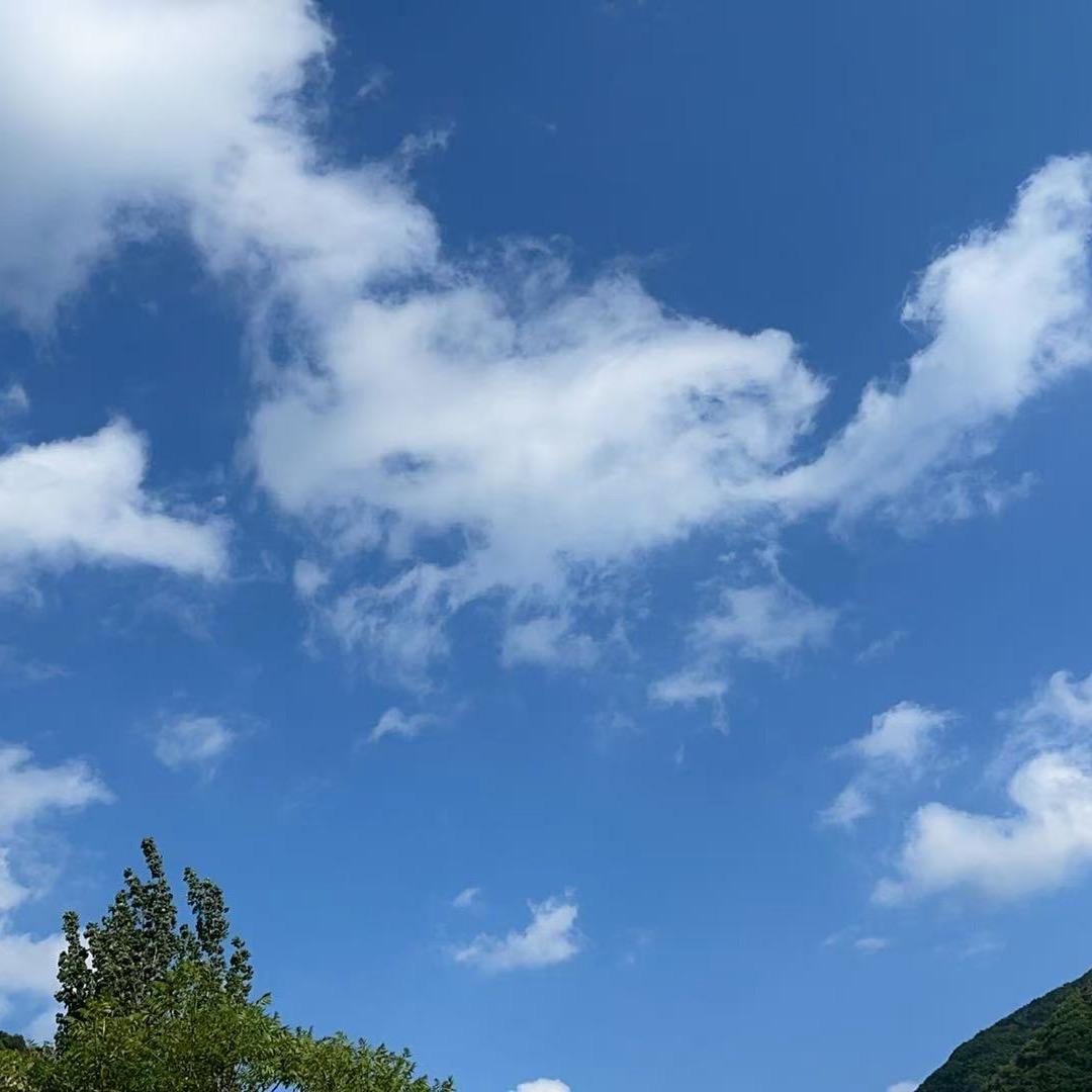 小野0127