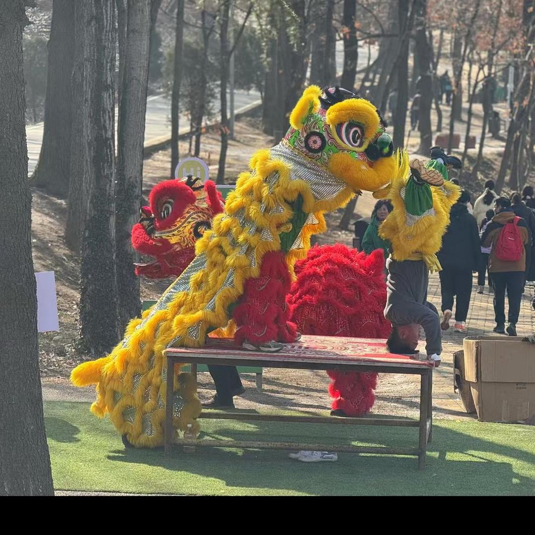 @张涵（河南张家班高端舞狮🇨🇳）
